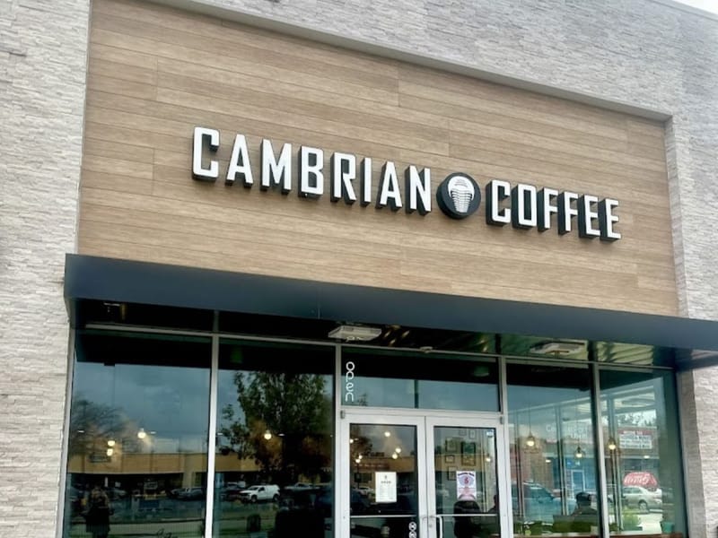 cambrian-1024x768.jpg